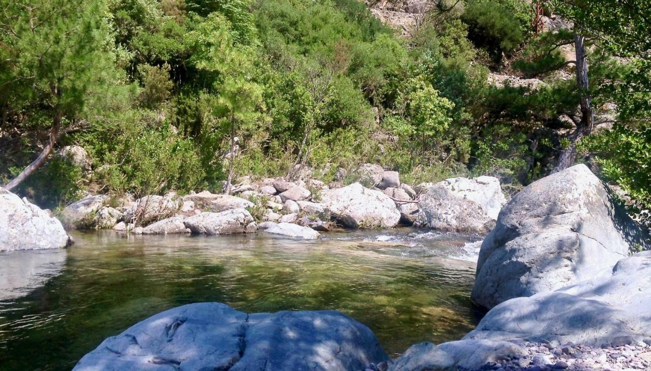 Pietranera Studio Proche De La Mer A 2Km De Bastia Ville-di-Pietrabugno Exteriör bild